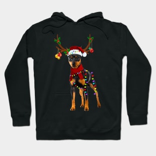 Santa Doberman Pinscher Reindeer Light Christmas Hoodie